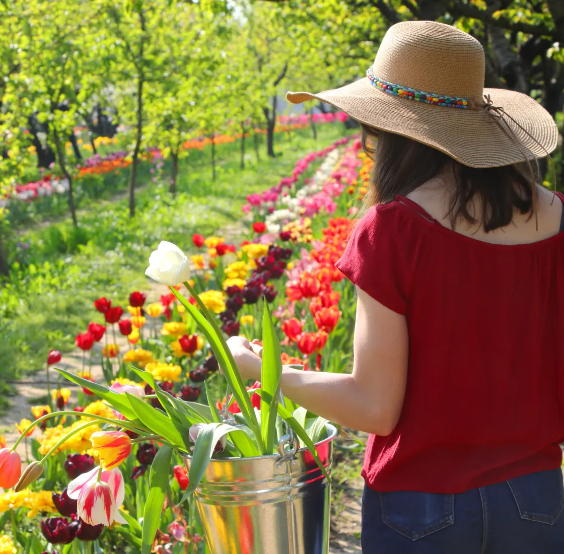 about dalewood flower farm