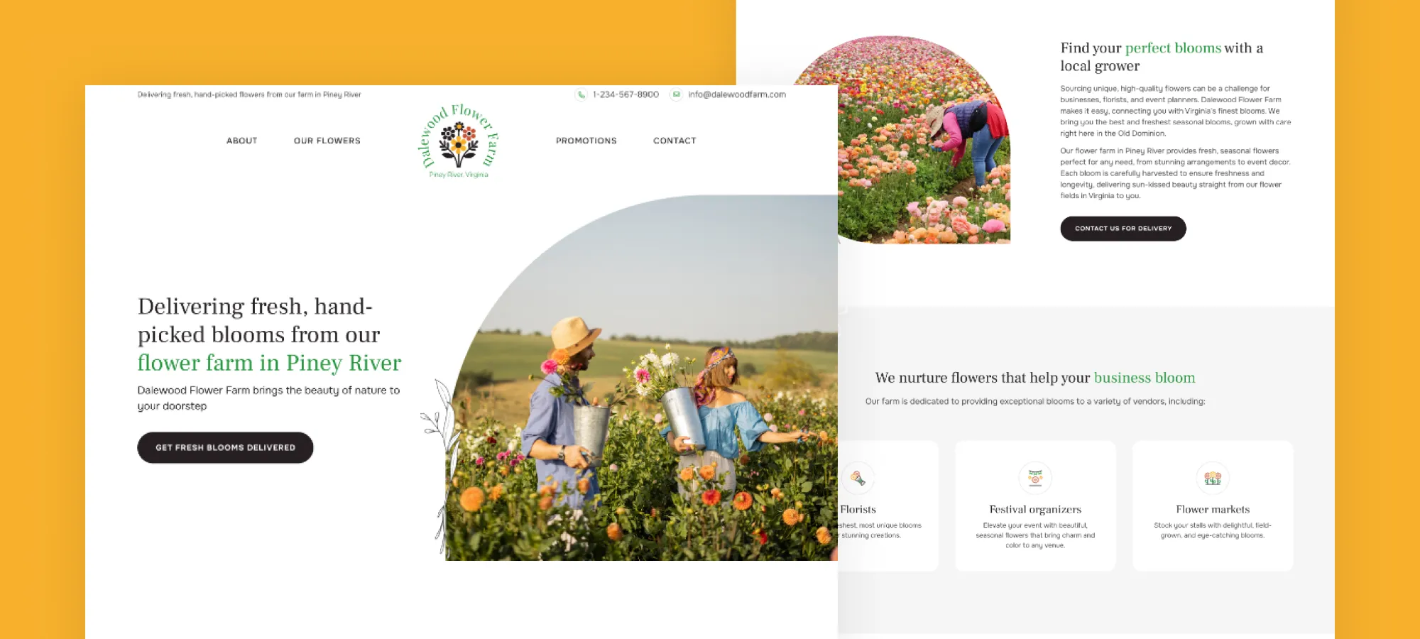 blog new website